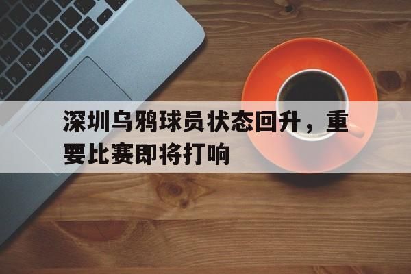 多米体育-深圳乌鸦哥个人简历